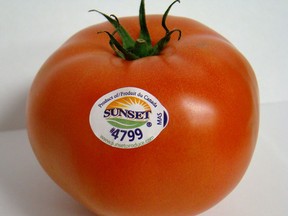 A Sunset tomato is pictured.