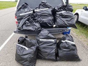 Approximately 60 kilograms of illicit cannabis seized by Royal Canadian Mounted Police from two Windsor men travelling near Brandon, Manitoba on June 14, 2019.