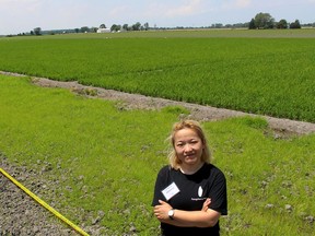 Wendy Zhang, project and farm manager with Ontario FangZheng Agriculture Enterprises Inc. is seen here Friday in front of a one hectare trial crop of rice planted west of Chatham, Ont. (Ellwood Shreve/Chatham Daily News)