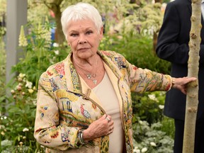Dame Judi Dench attends the RHS Chelsea Flower Show 2019 press day at Chelsea Flower Show on May 20, 2019 in London, England.