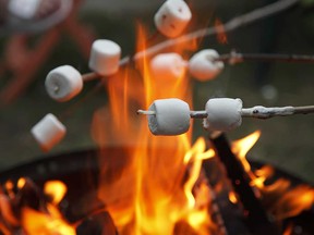 Marshmallows toasting on an open fire are shown in this file photo.