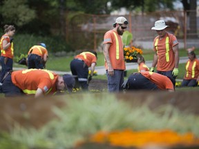 Gardeners from the City's Park and Recreation horticulture division plant flowers at Jackson Park, Thursday, June 6, 2019.