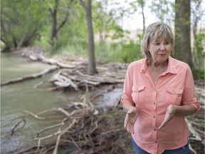 Kathy Ouellette, who visits the Tremblay Beach Conservation Area every day while on lunch, talks about the changes that have occurred recently due to high water levels, Tuesday, June 4, 2019.