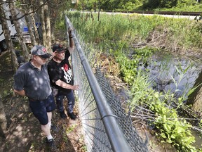 Chris Burston, left, and Norm Russette check out the standing water along the railroad tracks in the 1200 block of Glidden Ave. in Windsor on Tuesday, June 18, 2019. They are concerned about the water and the increase in the mosquito population.