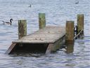 What is it, Doc?  Due to the high water levels, the city has had to close the McKee Park jetty in Old Sandwich.  One of the docks, shown here on July 3, 2019, is currently surrounded by water.