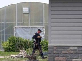 An OPP officer at a greenhouse and residential property in the 400 block of Seacliff Drive West in Leamington on July 3, 2019.