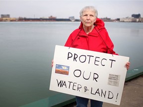 Local social justice activist Pat Noonan, shown March 9, 2013, standing along the waterfront protesting petroleum coke piles on the American side of the Detroit River, will be celebrated at a Mackenzie Hall fundraiser Sunday.