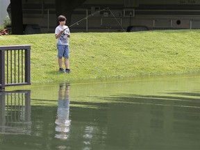 Young angler Dimitri Mason, 10, tries his fishing luck along the swollen Little River in Windsor on Monday.