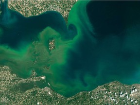 This July 28, 2015, image shows algal blooms visible as swirls of green in western Lake Erie, including surrounding Pelee Island.