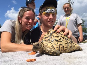 Clark Crawford, 16, with his support worker Rebecca Brush, pets an African leopard tortoise at a Zoo2You exhibit at Thursday's carnival and open house for Autism Services Inc. of Windsor and Essex County.
