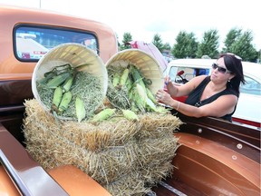 Tammy Dagenais added a nice touch in the bed of her 1955 Chevrolet pick up truck during Cream of the Crop car show at Corn Fest Sunday.  In all, about 100 cars took part in the showing.