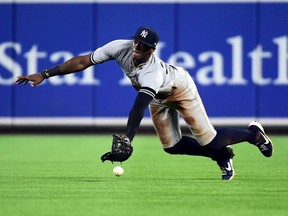 New York Yankees outfielder Cameron Maybin dives for a fly ball in the seventh inning against the Baltimore Orioles at Oriole Park at Camden Yards.