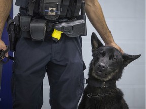 Police service dog, Rolex, pictured with his handler, Const. Marc Tremblay, as Rolex is introduced as the newest service dog to join  the force at the Major F.A. Tilston Armoury and Police Training Centre, Monday, August 19, 2019.