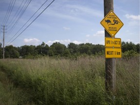 A sign warning of wild life crossings is seen on Matchette Road, south of the Ojibway Nature Centre, Tuesday, August 20, 2019.
