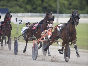 Opening day saw a large turnout for live horse racing at  Leamington Racetrack, Sunday, August 4, 2019.
