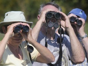 New study points to less birds. Here, Liz Kent, left, Ron Delcourt and Bob Pettit with the Holiday Beach Migration Observatory look for birds during a count near Holiday Beach in Amherstburg on Friday, Sept. 20, 2019.