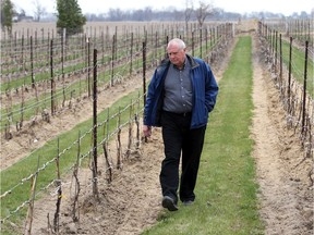 Cooper's Hawk Vinyards owner Tom O'Brien at his winery on 1425 Iler Rd in Harrow on April 27, 2015.