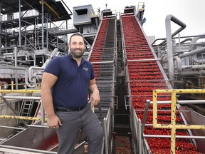 Sam Diab, president and CEO of Highbury Canco in Leamington is shown at the business on Thursday, September 12, 2019. Tomato processing is in full swing.