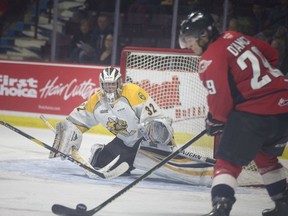 Windsor Spitfires' forward Daniel D'Amico misses on a scoring opportunity against Sarnia Sting goaltender Cameron Lamour during Sunday's exhibition game at the WFCU Centre.