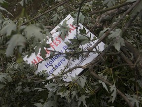 A sign for the Hawk Festival, held at the Holiday Beach Conservation Area every September can be seen under a pile of broken branches after a strong storm passed through the previous evening, Saturday, September 14, 2019.