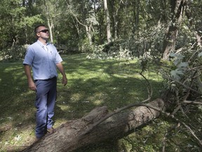 AMHERSTBURG, ONT:. SEPTEMBER 14 - Devin McCann, assistant superintendent at Holiday Beach Conservation Area, surveys the heavy damage done during a strong storm the previous evening, Saturday, September 14, 2019.