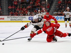 Tyler Bertuzzi #59 of the Detroit Red Wings dives and knocks the puck off the stick of Adam Henrique #14 of the Anaheim Ducks during the third period at Little Caesars Arena on Oct. 8, 2019, in Detroit. Anaheim won the game 3-1.