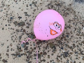 One of the many photos submitted to University of Michigan graduate student Lara O'Brien of balloon debris found around the Great Lakes.