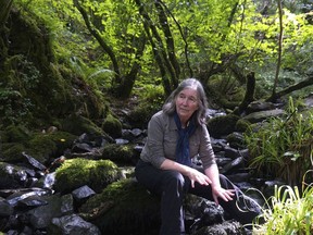 Diana Beresford-Kroeger, dubbed the Jane Goodall of Trees, will speak in Windsor Nov. 3, 2019, for a Pelee Island Bird Observatory event. She sits in the Raheen Woods in Ireland in this undated handout picture.