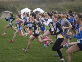 WINDSOR, ONT:. OCTOBER 16 - Senior girls compete at the W.E.C.S.S.A.A Cross Country meet at Malden Park, Wednesday, October 16, 2019.