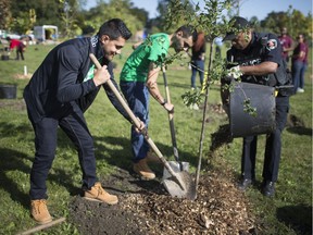 Const. Neil McEachrane with the Windsor Police Service, helps out brothers Sam Sinjari, left, and Moustapha Sinjari, as they plant a tree at Gignac Park, part of the Greening Gignac Park event on Wednesday, Oct. 9, 2019. The project was started by Sam Sinjari, who enlisted the help of the Essex Region Conservation Authority and Ward 9 Coun. Kieren McKenzie, which will see 50 trees planted in the park.  Volunteers from the Windsor Police Service, the Odette School of Business and PricewaterhouseCoopers helped out with the planting.