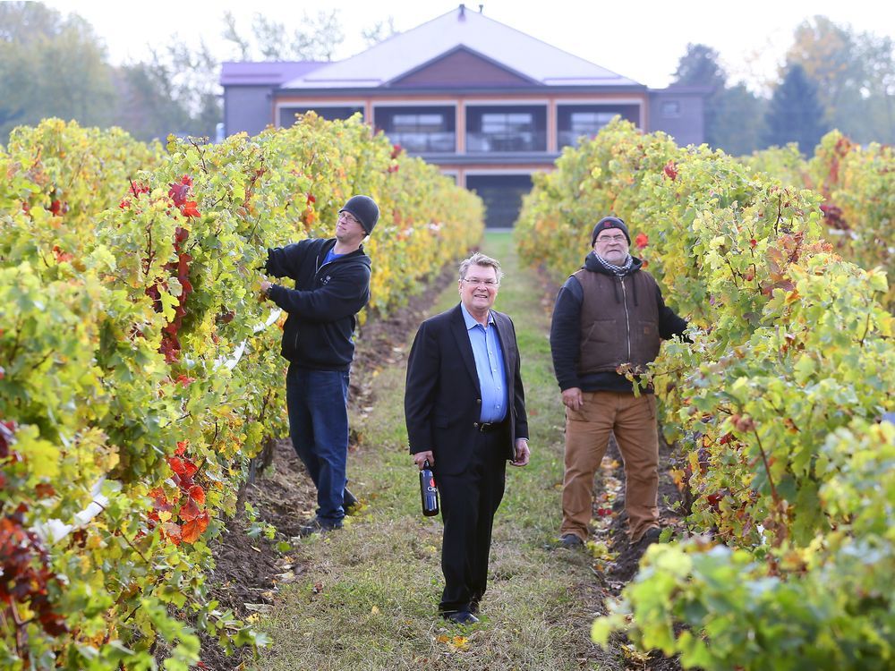 CREW expansion provides winery experience' National Post