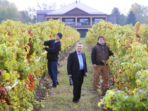 Colchester Ridge Estate Winery co-owner Bernie Gorski, centre, with winemaker Ryan Oldridge and viticulturist Peter Pfeifer, prior to the official opening Friday of the CREW Winery and Gallery building at its County Road 50 operation.