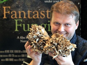 Denis Vidmar with hen of the woods mushrooms at the Capitol Theatre Monday.