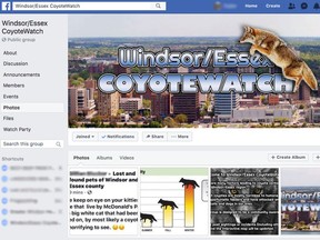 A screen capture of the Facebook group Windsor/Essex CoyoteWatch taken Tuesday, November 5, 2019, is shown.