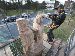 Rusty Barton carves a tree in Jackson Park on Saturday, November 9, 2019. The owner of Chainsawed Expressions is putting in many hours to complete the Canadian-themed carving.