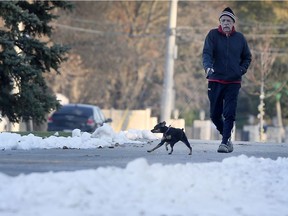 Jim Gignac walks his dog along the Ganatchio Trail in Windsor on Monday, November 18, 2019. The weather was relatively mild but experts are predicting a bitter cold winter.