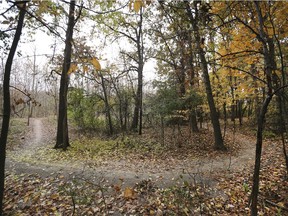 A section of the new off road bike paths at the Malden Park in Windsor is shown on Nov. 6, 2019.