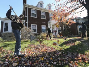 Walkerville Collegiate Institute students and staff were out in force on Nov. 8, 2019, raking leaves in the neighbourhood near their school. It was part of the Random Acts of Kindness event that was rescheduled from last Friday. Jakob Van Veen, left, and other students rake leaves on Argyle Rd. during the event.