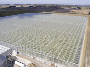 An aerial view of greenhouses near Kingsville.