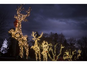 Reindeer lights are on display at the opening of the third annual Bright Lights Windsor at Jackson Park, Friday, December 6, 2019.