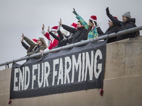 Protesters rally against the fur industry on the Central Avenue overpass at E.C. Row Expressway, Thursday, Dec. 26, 2019.