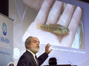 Dr. Daniel Heath speaks at the launch of GEN-FISH Genomics Network for Fish Identification, Stress and Health event on Monday, December 9, 2019, at the University of Windsor's Great Lakes Institute for Environmental Research complex.