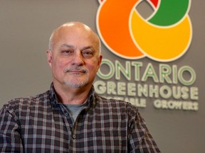 Joseph Sbrocchi, general manager of the Ontario Greenhouse Vegetable Growers, at his office in Leamington.  He  expects 250 to 300 acres of greenhouses at a cost of about $1.4 million an acre will be built within the next few years in Leamington and Kingsville.