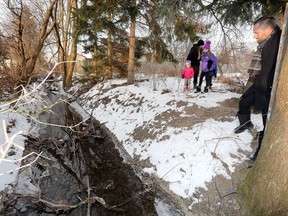 Cahill Drain runs directly into the yard of Lasalle residents Shawn Maheux, right, and his wife Katie Maheux on Bouffard Road.  In photo, Maheux and children Ava, 8, Ryan, 6, and Charlotte, 3, walk past the Cahill Drain located directly behind his home Wednesday.