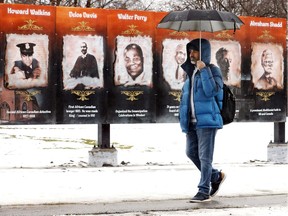 Prominent history. University of Windsor nursing student Arun Kesavan walks on Friday, Jan. 24, 2020, past a new installation of murals honouring important figures in the local black community that have been installed at Paterson Park on Sandwich Street.