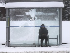 A woman waits for a bus in a shelter along University Avenue West in Windsor on Saturday, Jan. 18, 2020.