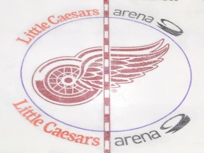 View of the Detroit Red Wings center ice logo during a game against the Toronto Maple Leafs at Little Caesars Arena on Feb. 1, 2019 in Detroit, Michigan.