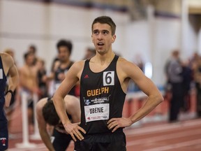 Tecumseh's Mitchell Ubene captured the U SPORTS men's cross-country title on Saturday and helped the Guelph Gryphons to a silver medal in the team competition.