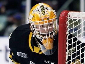 Sarnia Sting goalie Ben Gaudreau watches the action against the Windsor Spitfires in the second period at Progressive Auto Sales Arena in Sarnia, Ont., on Friday, Feb. 7, 2020. Mark Malone/Chatham Daily News/Postmedia Network