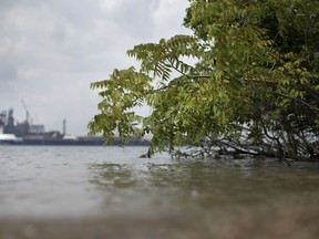 The Detroit River is pictured from Ojibway Shores, Tuesday, August 7,  2018.